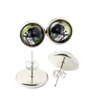 Kerry Blue Terrier, Irish Blue Terrier - earrings in a box, your photo, handmade jewelry, a product of the Art-Dog brand