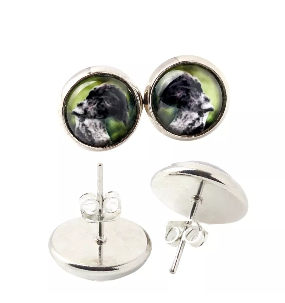 Kerry Blue Terrier, Irish Blue Terrier - earrings in a box, your photo, handmade jewelry, a product of the Art-Dog brand