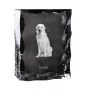 Kuvasz - Kristall mit einem Hundebild, Glasstatuette mit einem Bild, einzigartiger Bilderrahmen der Marke Art-Dog