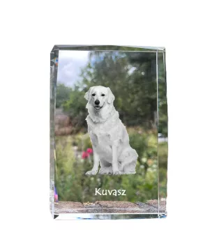 Kuvasz - cristal avec une photo de chien, photo sous verre, exposition moderne de la marque de photos Art-Dog