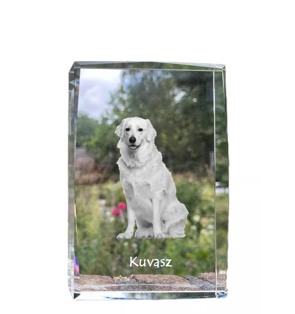 Kuvasz - cristal avec une photo de chien, photo sous verre, exposition moderne de la marque de photos Art-Dog