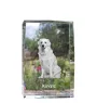 Kuvasz - crystal with a picture of a dog, photo in glass, modern exhibition of Art-Dog brand photo