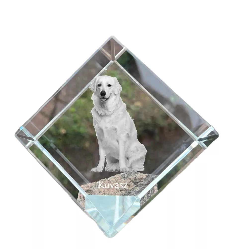 Kuvasz - crystal cube with a photo, photo of a horse in crystal, cubic paperweight from Art-Dog brand