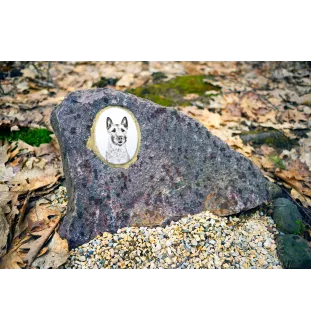 Laekenois chien de berger belge - une plaque commémorative avec une photo de chien, une plaque funéraire avec une impression, une plaque ovale personnalisée de la marque Art-Dog