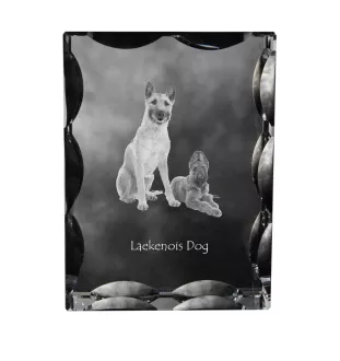 Laekenois Belgian Shepherd Dog - crystal with a picture of a dog, glass statuette with a picture, unique frame with a picture from Art-Dog brand