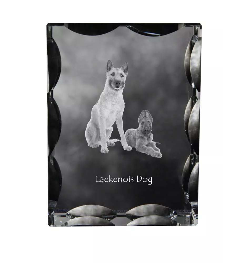Laekenois Belgian Shepherd Dog - crystal with a picture of a dog, glass statuette with a picture, unique frame with a picture from Art-Dog brand