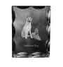 Laekenois Belgian Shepherd Dog - crystal with a picture of a dog, glass statuette with a picture, unique frame with a picture from Art-Dog brand