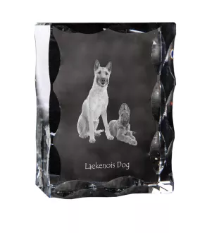 Laekenois Belgian Shepherd Dog - crystal with a picture of a dog, glass statuette with a picture, unique frame with a picture from Art-Dog brand
