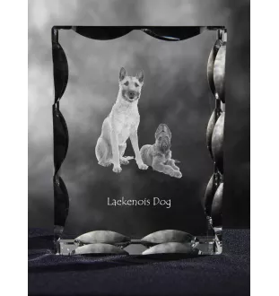 Laekenois Belgischer Schäferhund - Kristall mit einem Hundebild, Glasstatuette mit einem Bild, einzigartiger Bilderrahmen der Marke Art-Dog