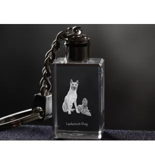 Laekenois chien de berger belge - Porte-clés en cristal avec photo de chien, porte-clés lumineux, cadeau unique de la marque Art-Dog