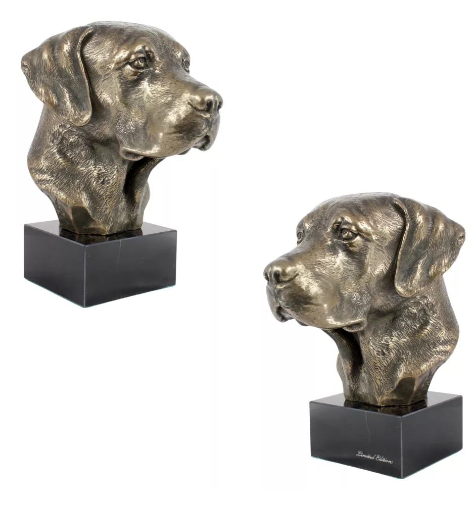 Labrador Retriever, retriever du Labrador - Statue de chien, buste sur socle en pierre, sculpture, trophée pour exposition canine par la marque Art-Dog