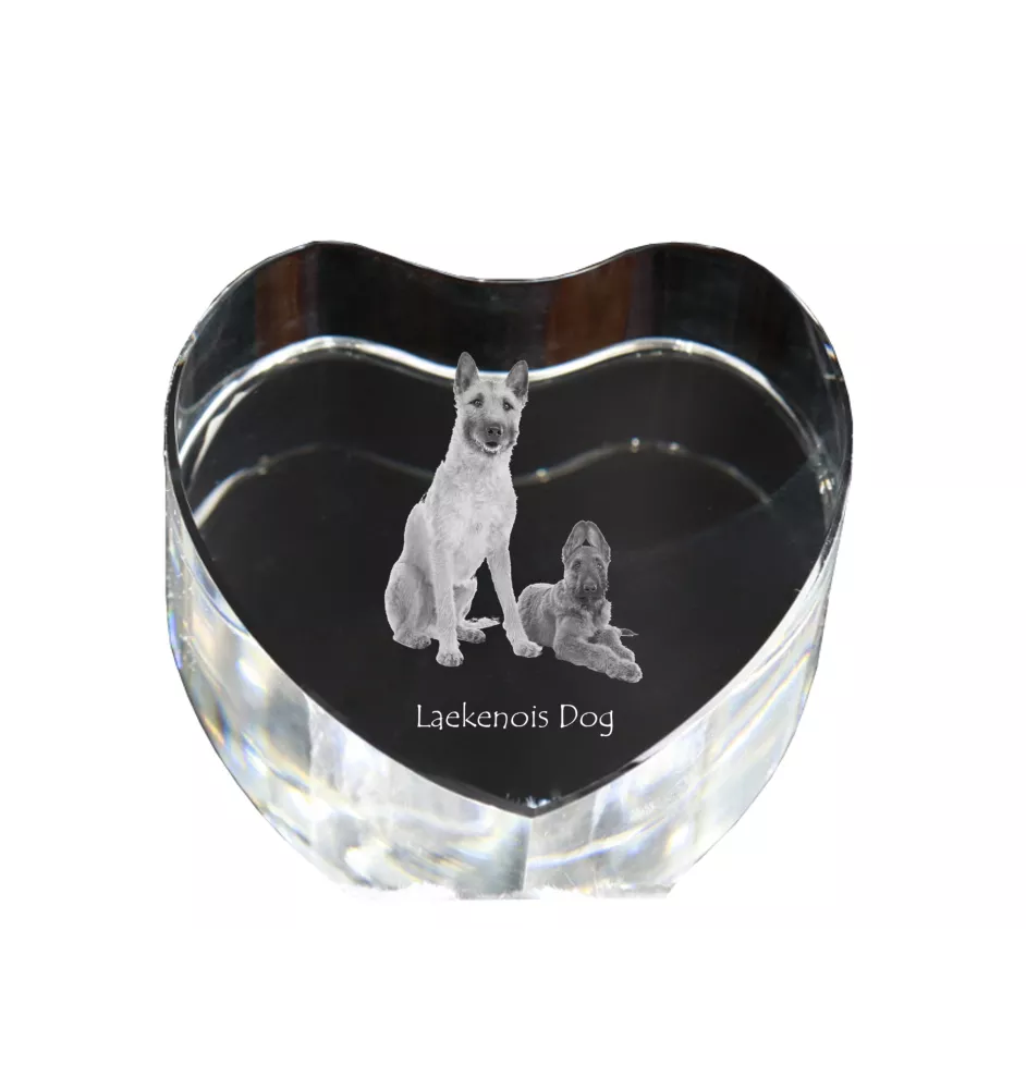 Laekenois Belgian Shepherd Dog - a photo of a dog in crystal, crystal heart, unique photo frame from the Art-Dog brand