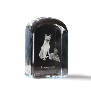 Laekenois Belgian Shepherd Dog - crystal cube with a photo, photo of a dog in crystal, cubic paperweight from Art-Dog brand