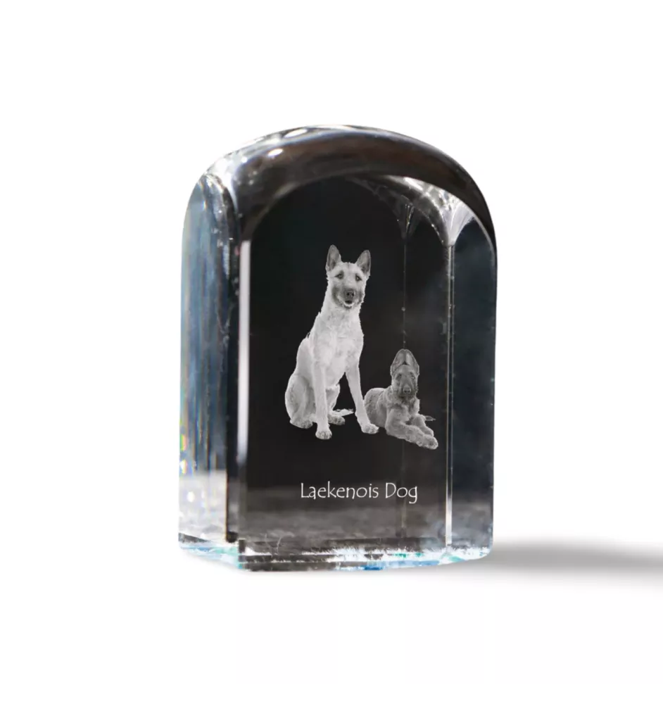 Laekenois Belgian Shepherd Dog - crystal cube with a photo, photo of a dog in crystal, cubic paperweight from Art-Dog brand