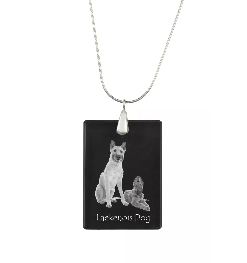 Laekenois Belgian Shepherd Dog - Crystal pendant with dog, silver necklace with photo, personalised pendant by Art-Dog brand