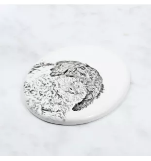 Romagna Water Dog, Lagotto Romagnolo - commemorative plaque with a photo of a dog, tombstone with a print, personalized oval plaque from the Art-Dog brand