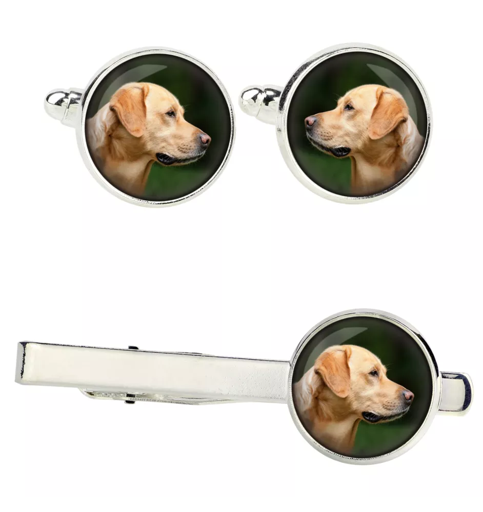 Labrador Retriever zestaw spinek w pudełku ze zdjęciem Art-Dog