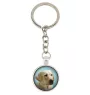 Labrador Retriever, retriever du Labrador I - porte-clés dans une boîte, photo personnelle, porte-clés de la marque Art-Dog