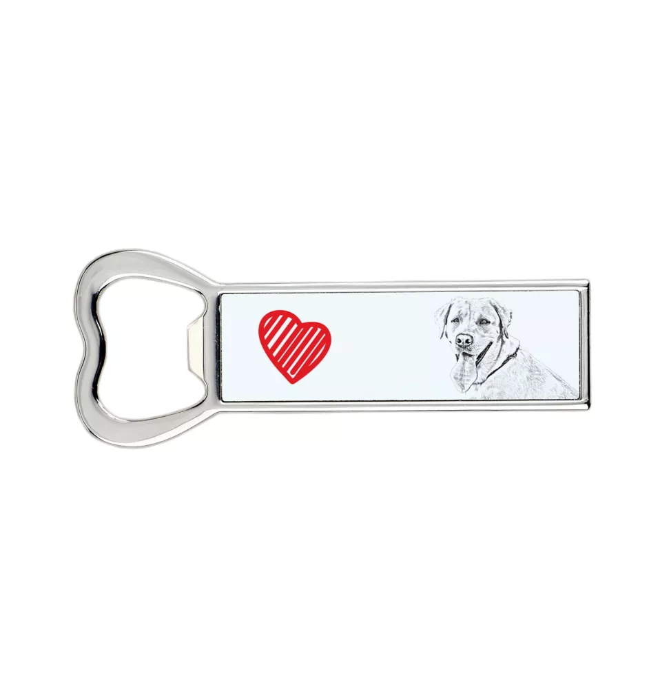Labrador Retriever I otwieracz z psem Art-Dog