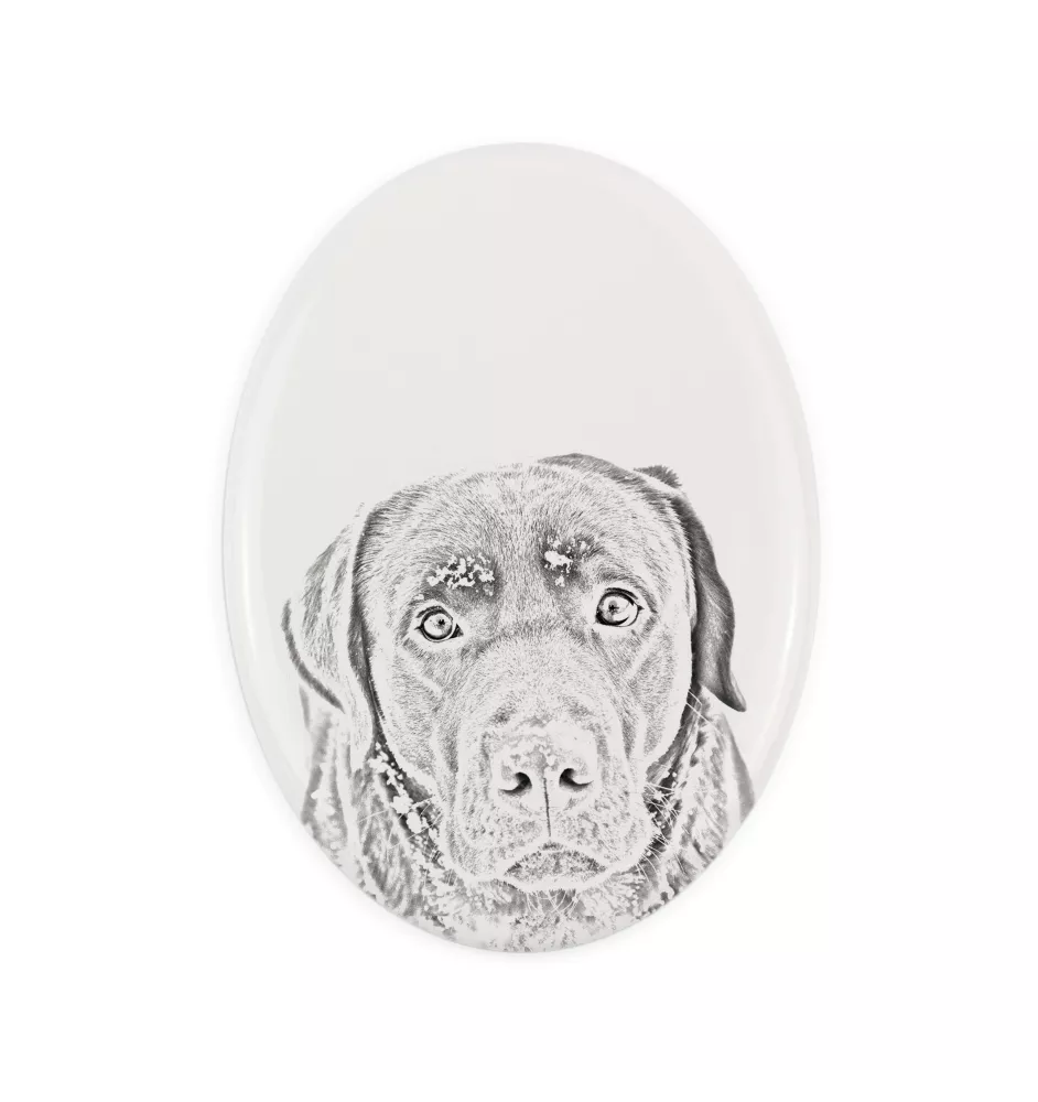 Labrador Retriever - commemorative plaque with a photo of a dog, tombstone with a print, personalized oval plaque from the Art-Dog brand