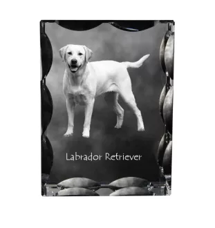 Labrador Retriever I ramka kryształowa z psem Art-Dog