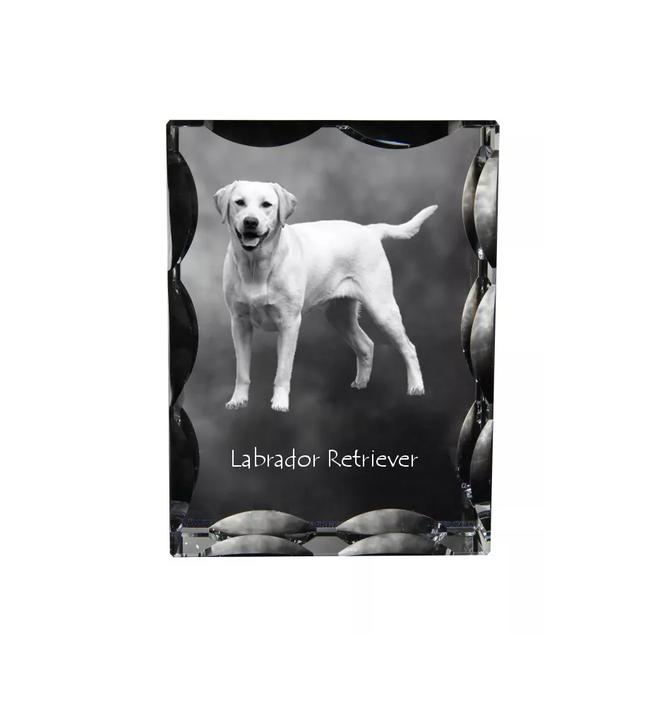 Labrador Retriever I - crystal with a picture of a dog, glass statuette with a picture, unique frame with a picture from Art-Dog brand