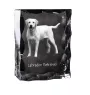 Labrador Retriever I ramka kryształowa z psem Art-Dog