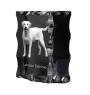 Labrador Retriever I - crystal with a picture of a dog, glass statuette with a picture, unique frame with a picture from Art-Dog brand