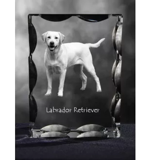Labrador Retriever I - crystal with a picture of a dog, glass statuette with a picture, unique frame with a picture from Art-Dog brand