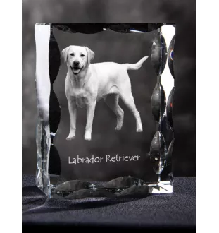 Labrador Retriever I - crystal with a picture of a dog, glass statuette with a picture, unique frame with a picture from Art-Dog brand