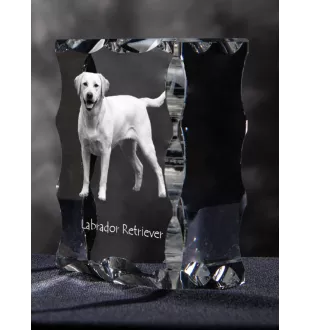 Labrador Retriever I - crystal with a picture of a dog, glass statuette with a picture, unique frame with a picture from Art-Dog brand