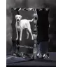 Labrador Retriever, retriever du Labrador I - cristal avec photo de chien, statuette en verre avec photo, cadre exceptionnel avec photo de la marque Art-Dog