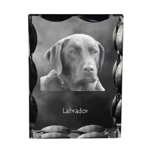 Labrador Retriever, retriever du Labrador - cristal avec photo de chien, statuette en verre avec photo, cadre exceptionnel avec photo de la marque Art-Dog
