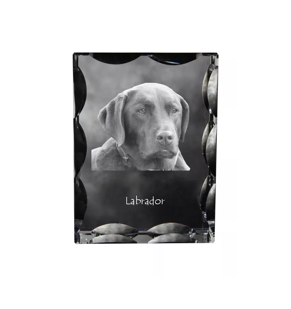 Labrador Retriever, retriever du Labrador - cristal avec photo de chien, statuette en verre avec photo, cadre exceptionnel avec photo de la marque Art-Dog
