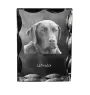 Labrador Retriever - Kristall mit einem Hundebild, Glasstatuette mit einem Bild, einzigartiger Bilderrahmen der Marke Art-Dog