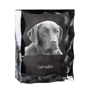 Labrador Retriever - Kristall mit einem Hundebild, Glasstatuette mit einem Bild, einzigartiger Bilderrahmen der Marke Art-Dog