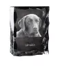 Labrador Retriever - Kristall mit einem Hundebild, Glasstatuette mit einem Bild, einzigartiger Bilderrahmen der Marke Art-Dog