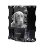 Labrador Retriever, retriever du Labrador - cristal avec photo de chien, statuette en verre avec photo, cadre exceptionnel avec photo de la marque Art-Dog