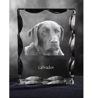 Labrador Retriever - crystal with a picture of a dog, glass statuette with a picture, unique frame with a picture from Art-Dog brand