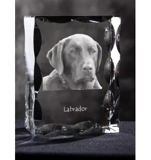 Labrador Retriever - crystal with a picture of a dog, glass statuette with a picture, unique frame with a picture from Art-Dog brand