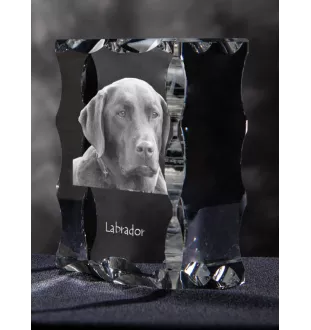 Labrador Retriever, retriever du Labrador - cristal avec photo de chien, statuette en verre avec photo, cadre exceptionnel avec photo de la marque Art-Dog