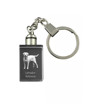 Labrador Retriever I - Crystal key ring with dog photo, illuminated key ring, unique gift by Art-Dog brand
