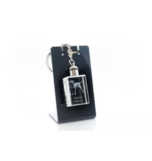 Labrador Retriever I - Crystal key ring with dog photo, illuminated key ring, unique gift by Art-Dog brand