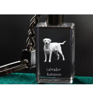 Labrador Retriever I - Schlüsselanhänger aus Kristall mit Hundefoto, beleuchteter Schlüsselanhänger, einzigartiges Geschenk der Marke Art-Dog
