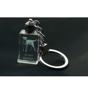 Labrador Retriever I - Crystal key ring with dog photo, illuminated key ring, unique gift by Art-Dog brand