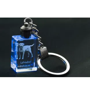 Labrador Retriever I - Crystal key ring with dog photo, illuminated key ring, unique gift by Art-Dog brand