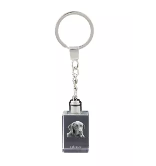 Labrador Retriever - Crystal key ring with dog photo, illuminated key ring, unique gift by Art-Dog brand