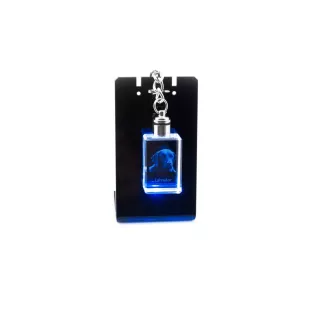 Labrador Retriever, retriever du Labrador - Porte-clés en cristal avec photo de chien, porte-clés lumineux, cadeau unique de la marque Art-Dog