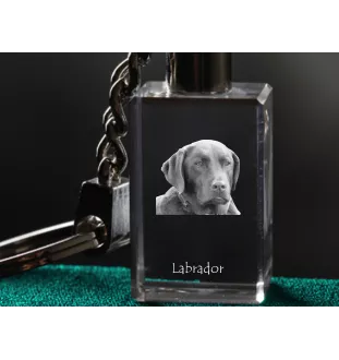 Labrador Retriever brelok kryształowy z psem Art-Dog