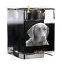 Labrador Retriever - Kerzenhalter mit Hundefoto, Teelichthalter aus Kristall, personalisiertes Geschenk der Marke Art-Dog